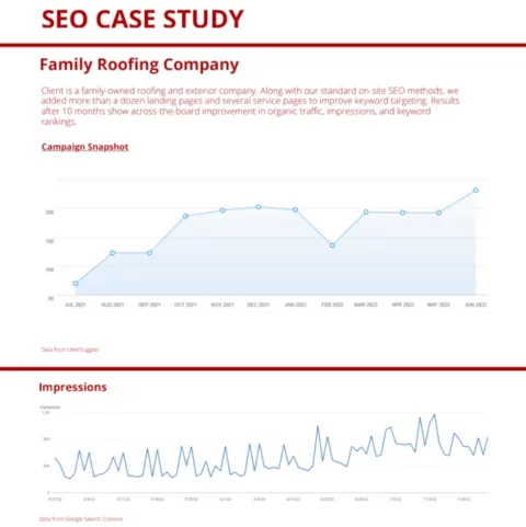 SEO Case Study Compilation preview